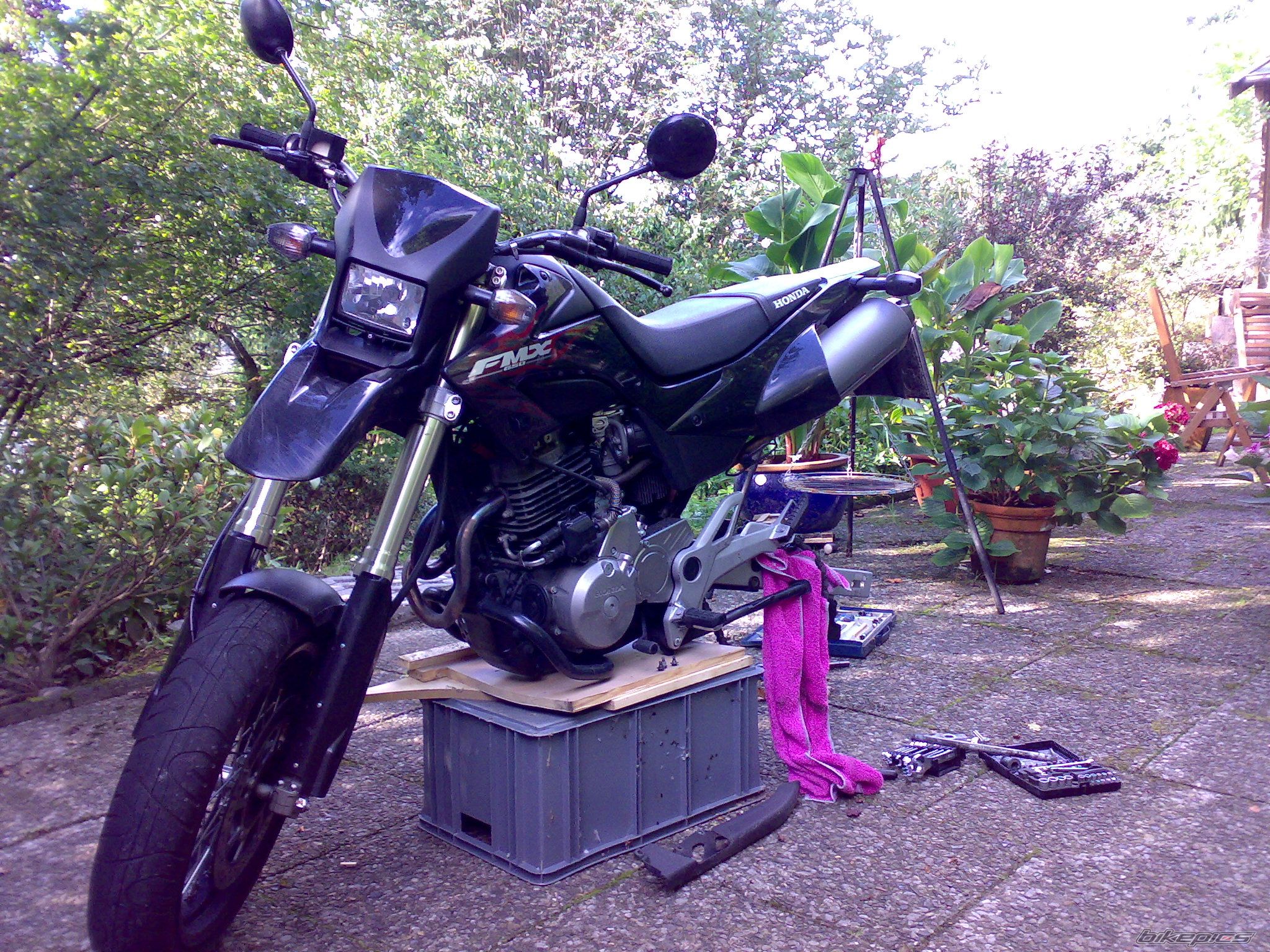 Photo 1002726