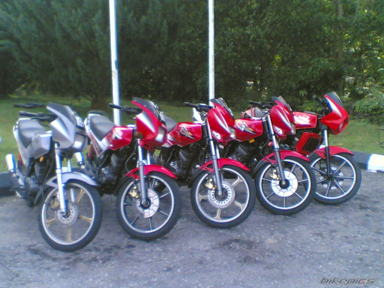 Photo 1002754
