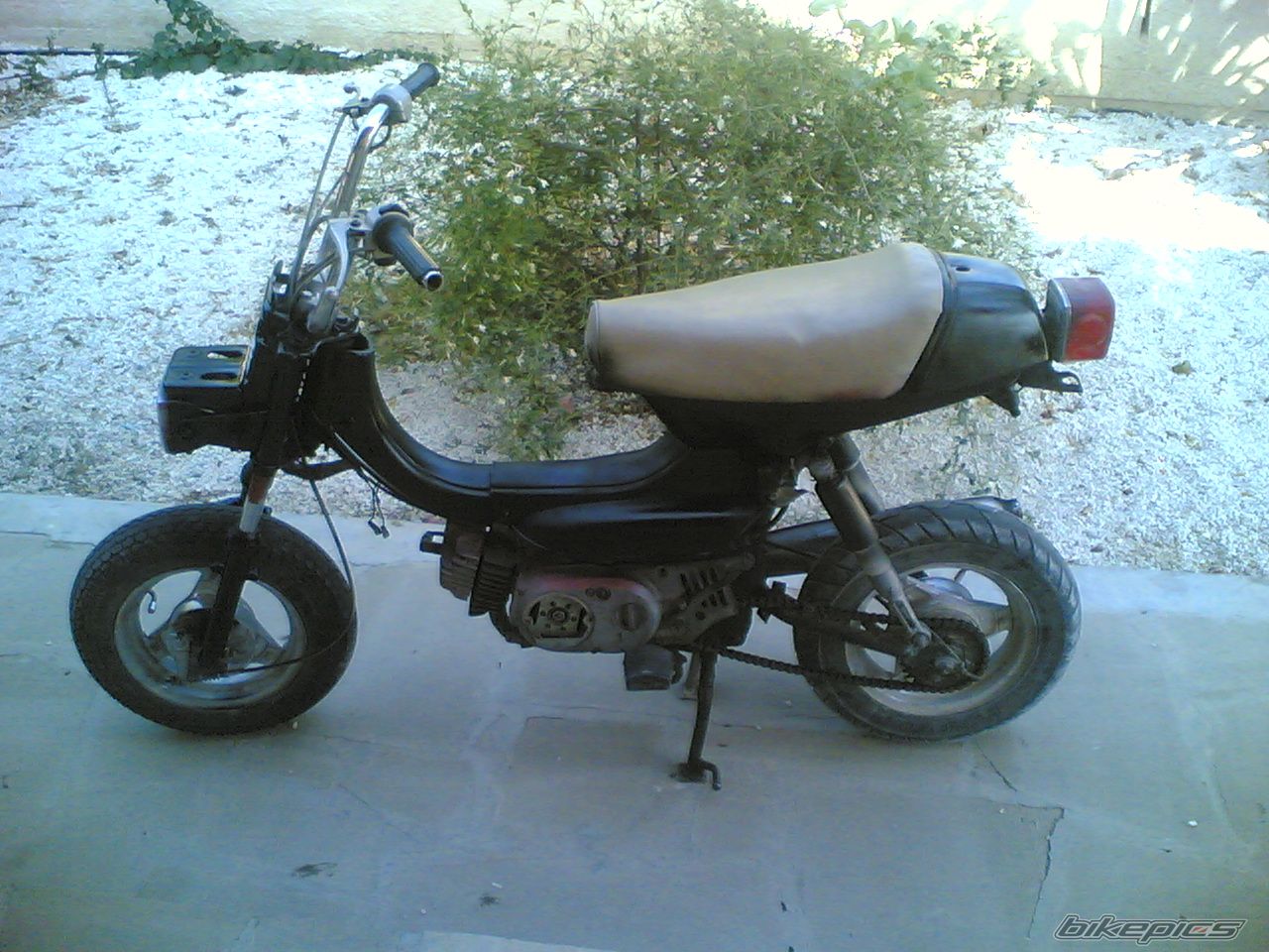 Photo 1002778