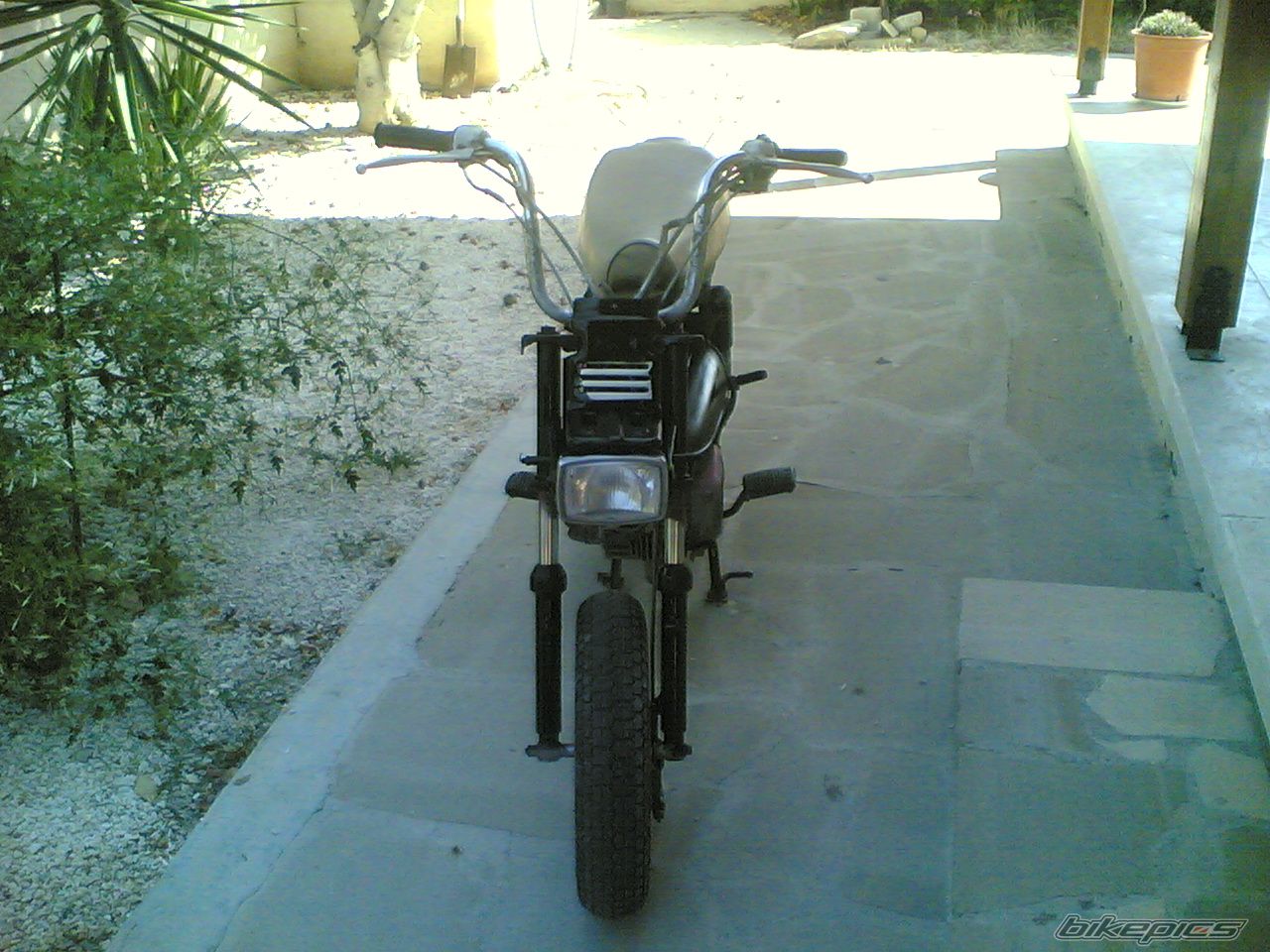 Deluxe 50