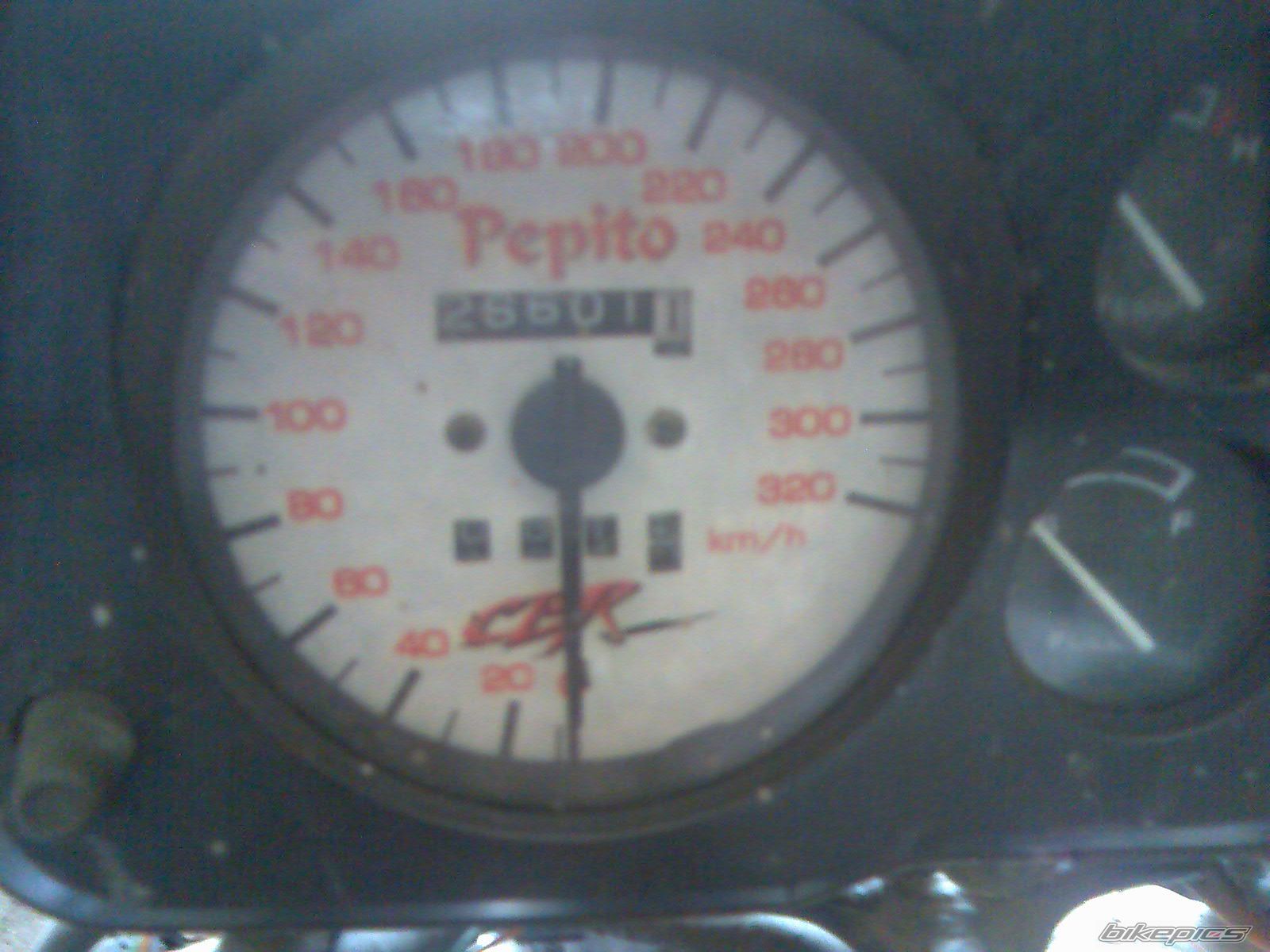 Photo 1002788