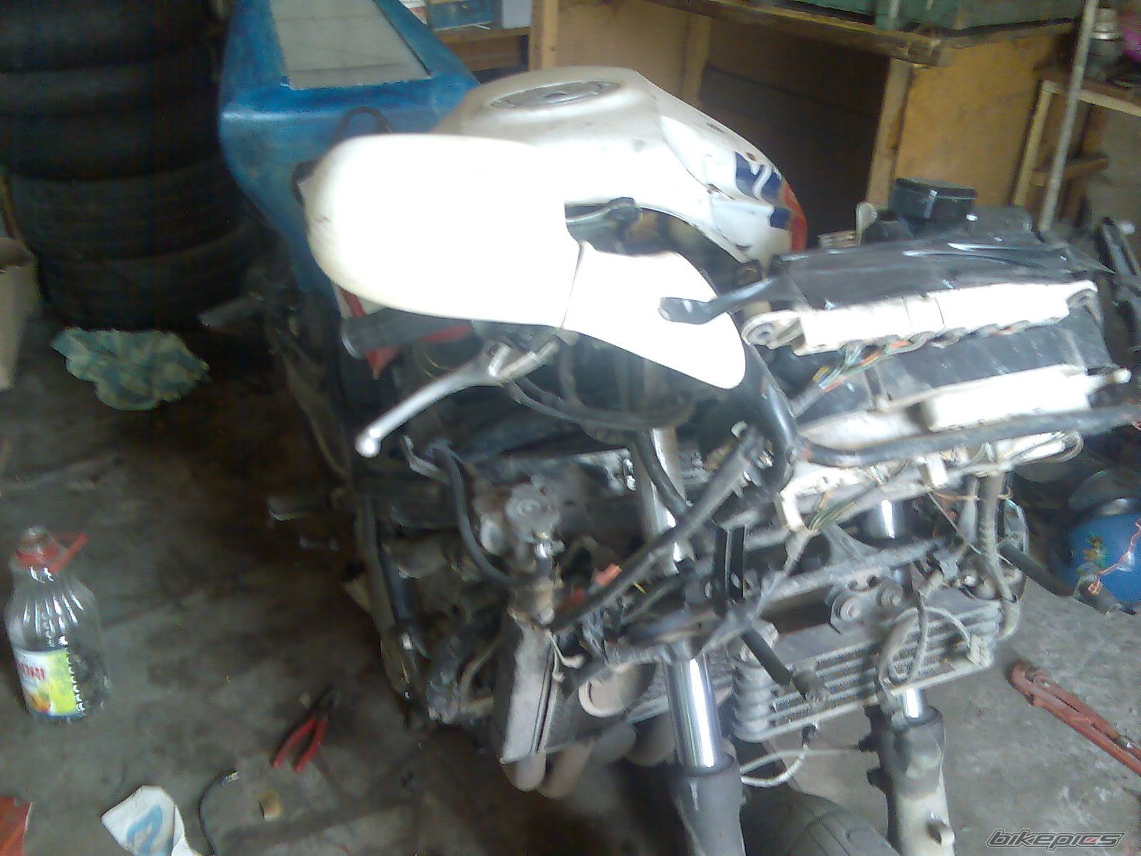 Photo 1002789