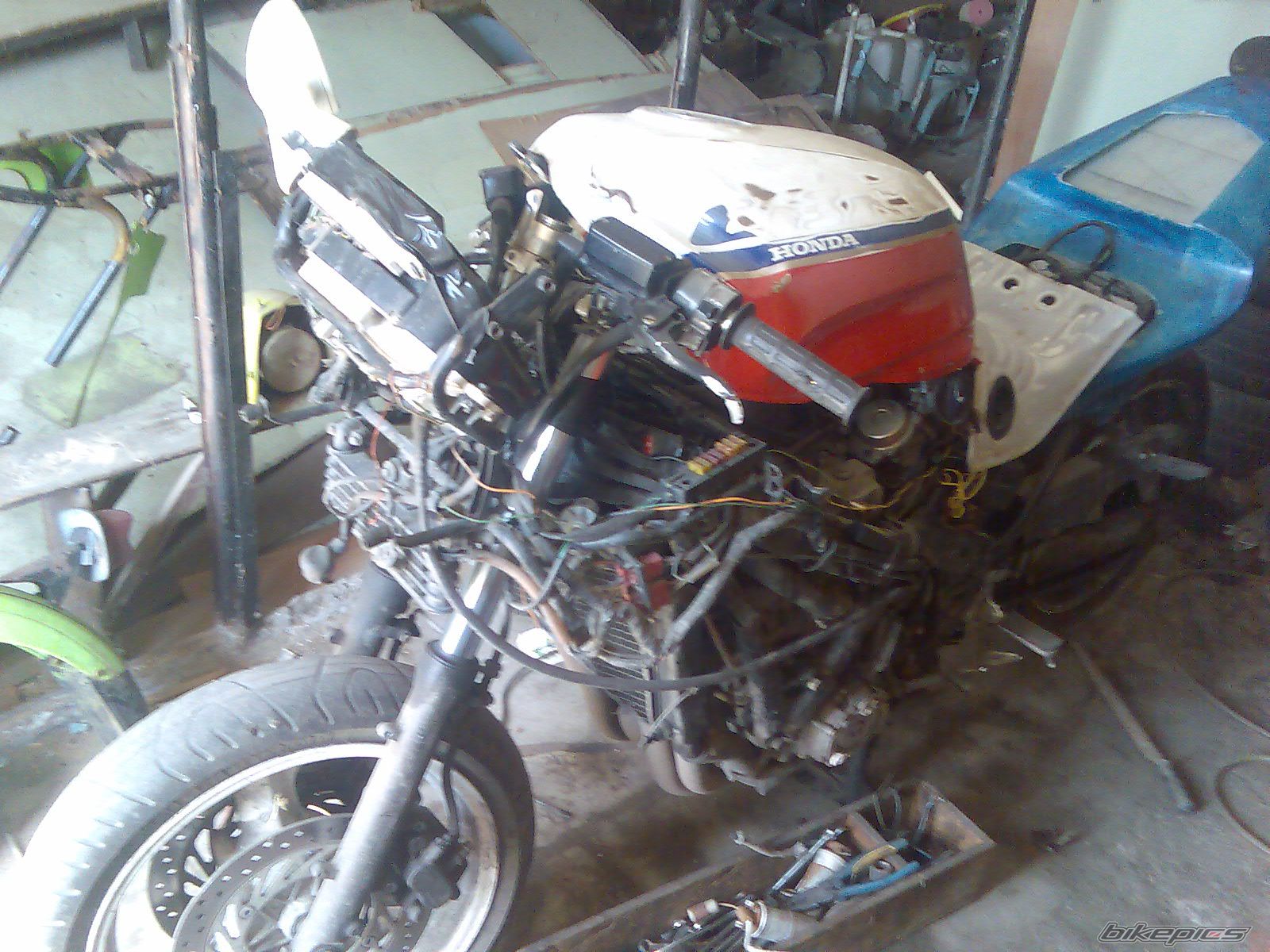 Photo 1002791
