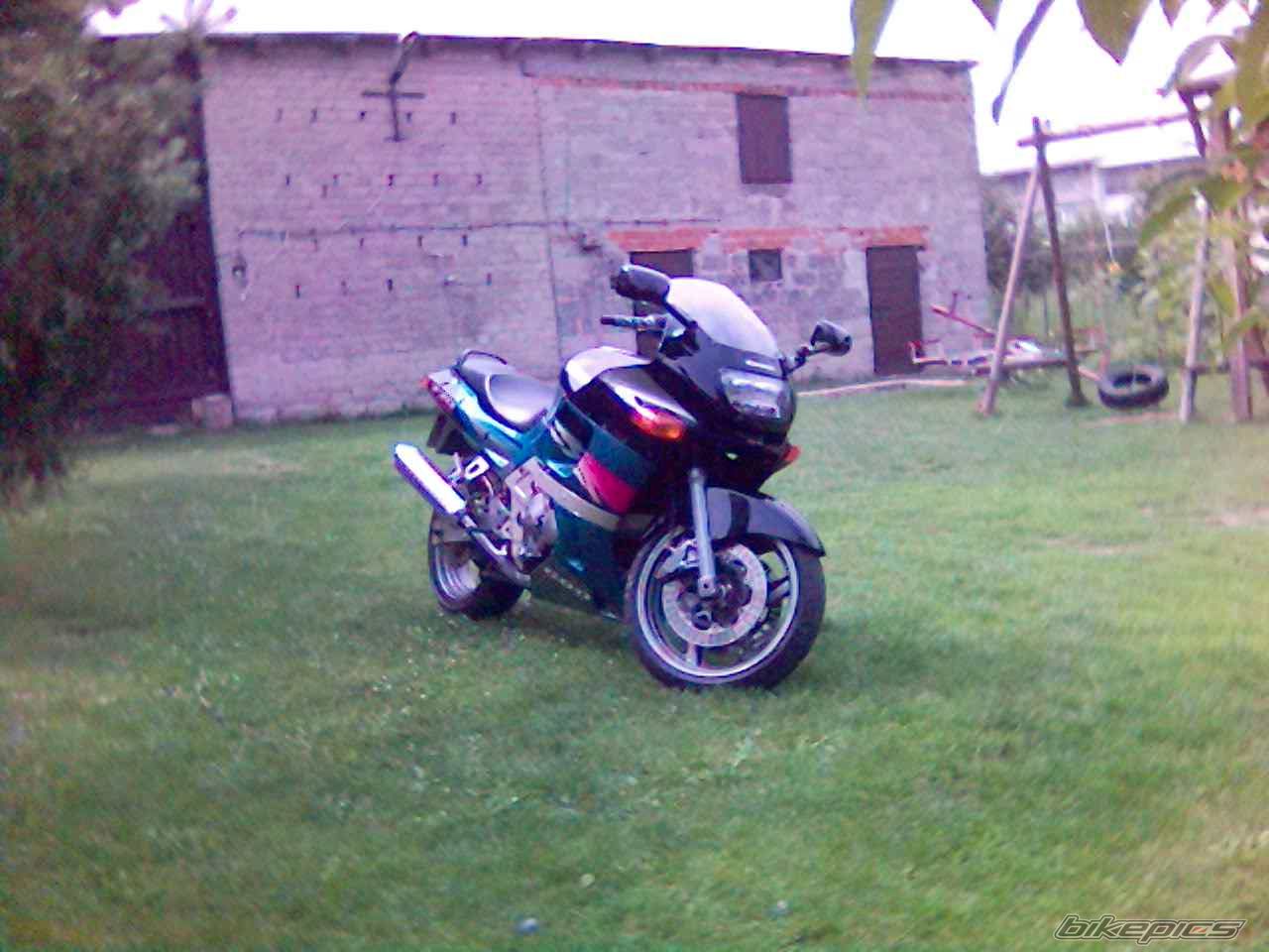 Photo 1002800
