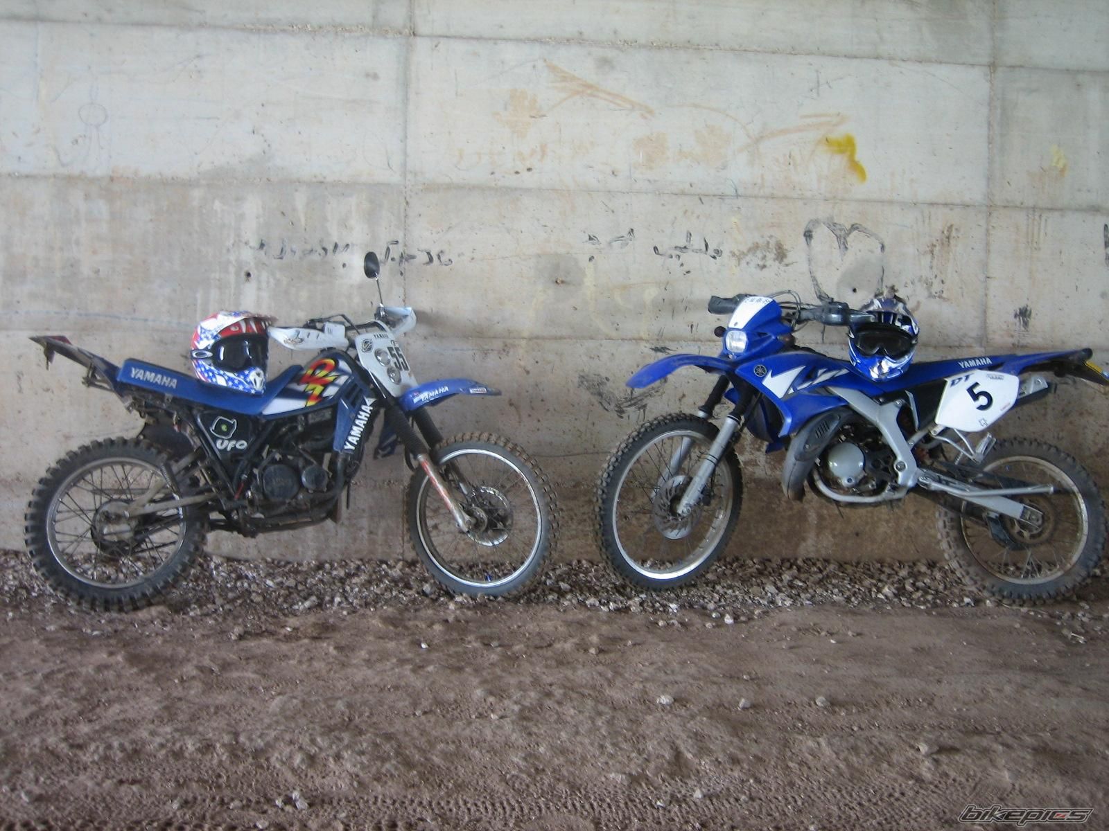Photo 1002815