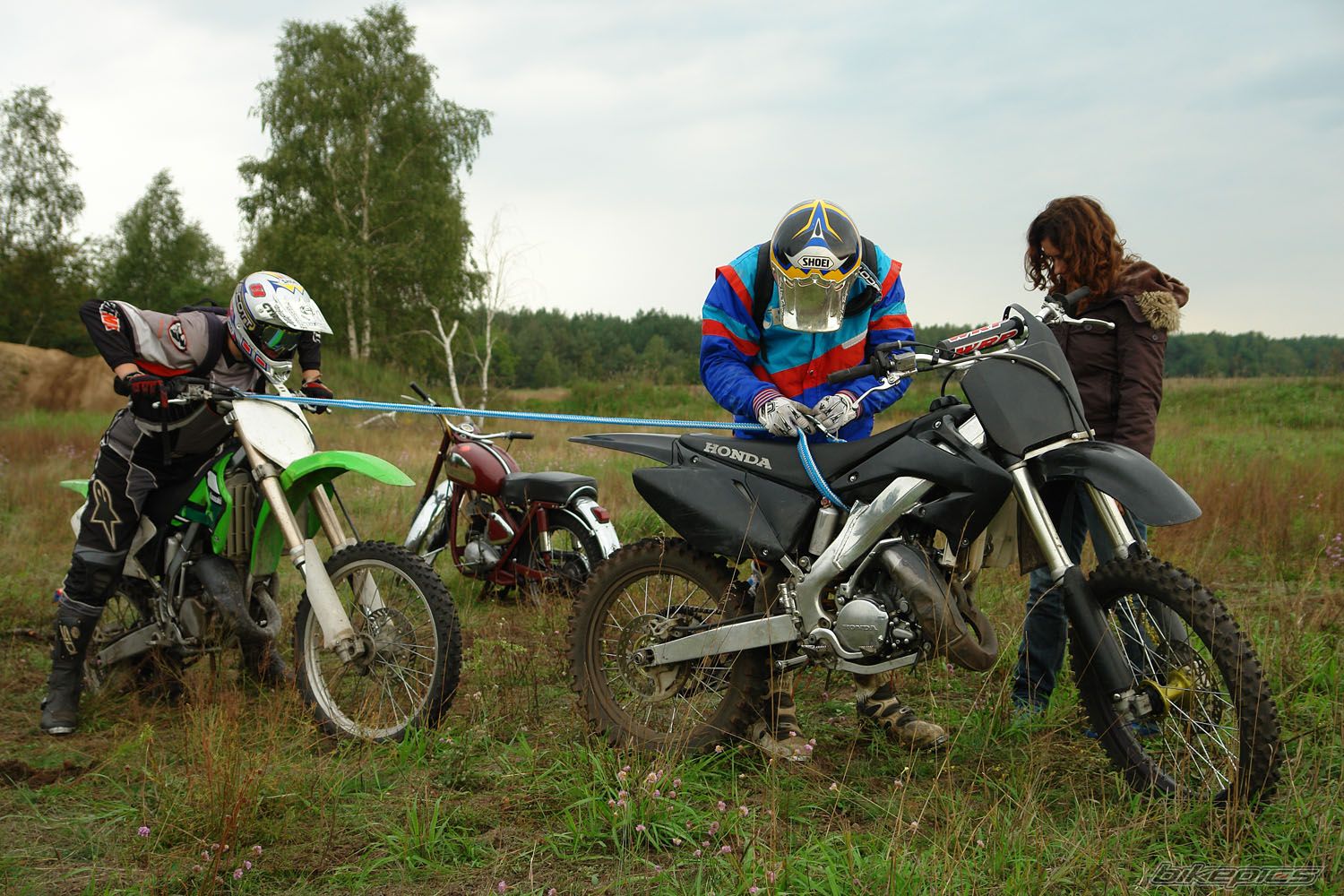 Photo 1002831
