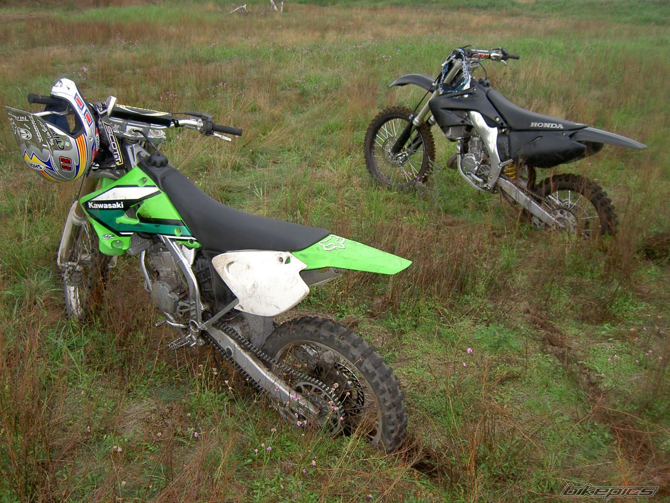 Photo 1002853