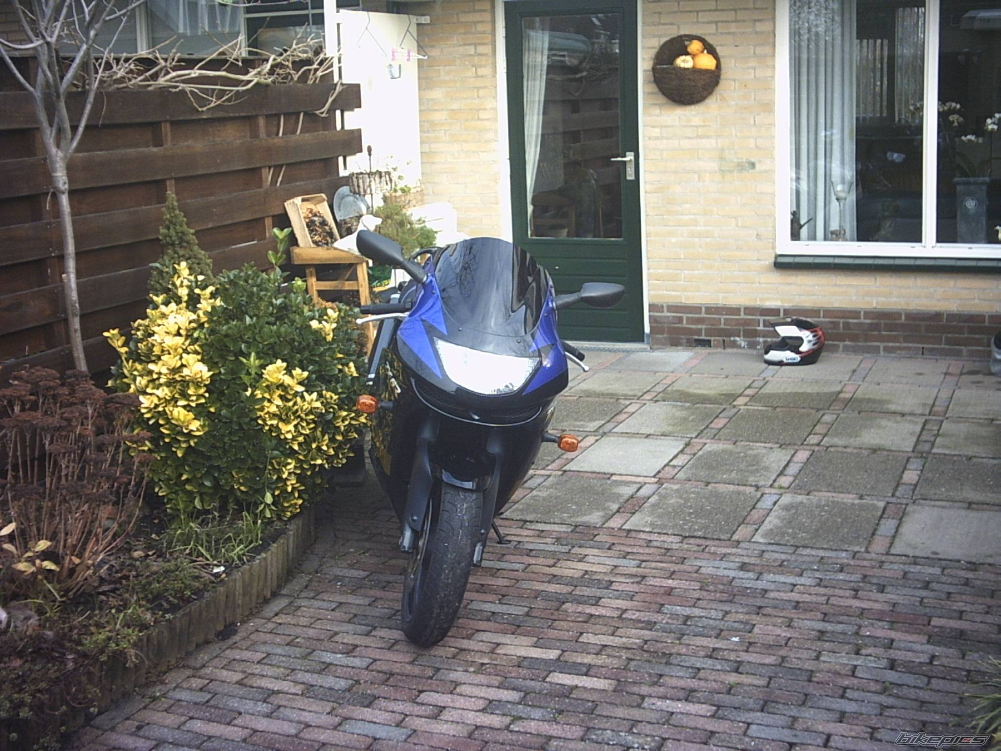 Photo 100288