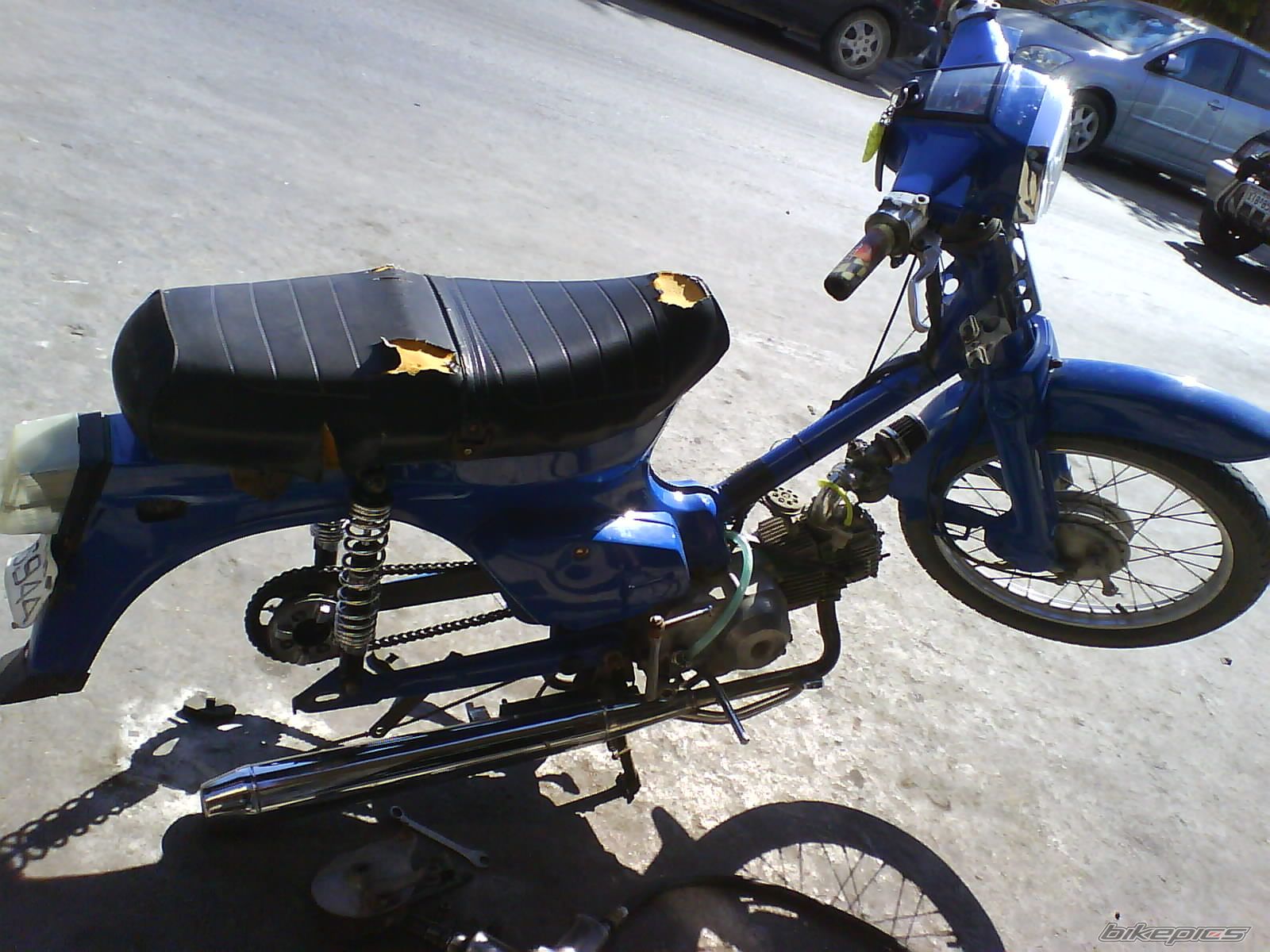 Photo 1002888