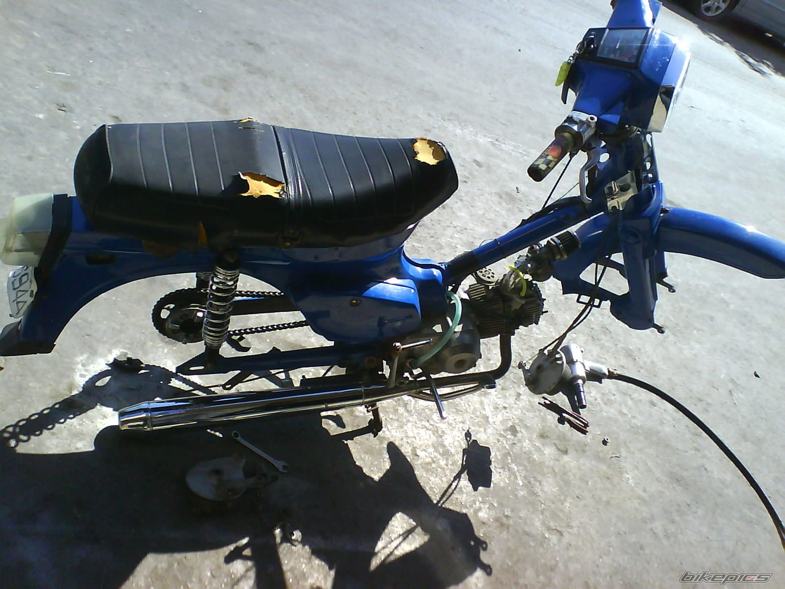 Photo 1002889