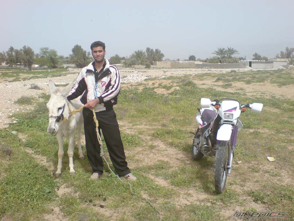 Bike Photo 1002903