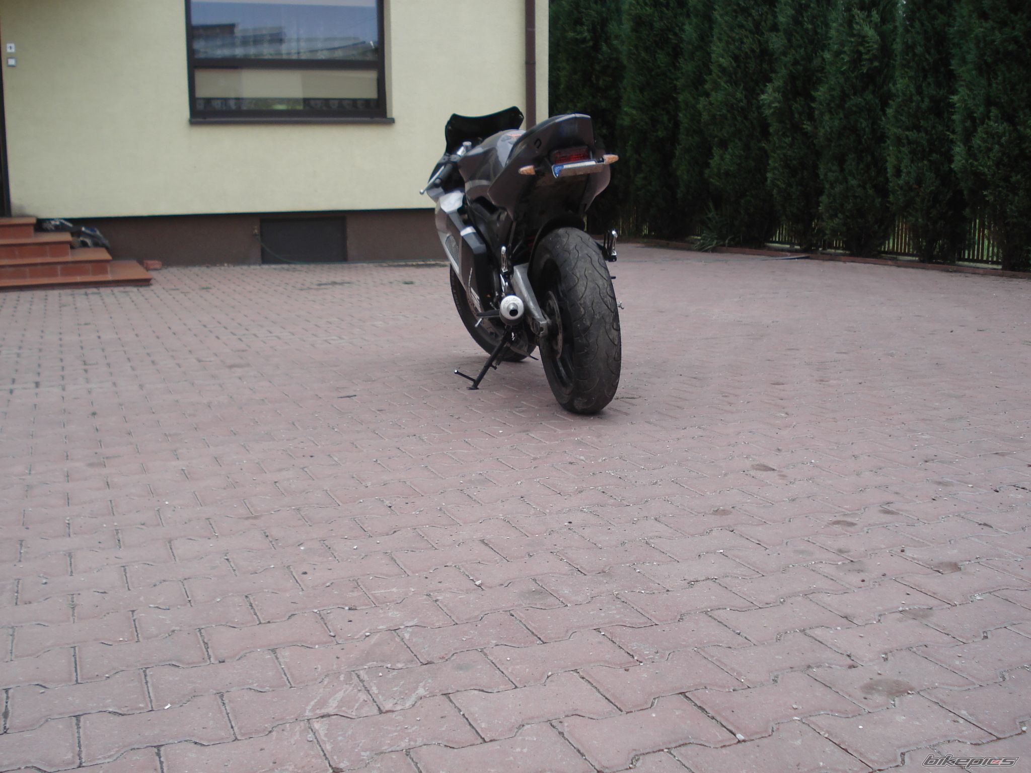 Photo 1002919
