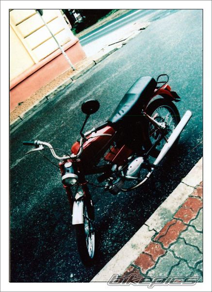 Photo 1002940
