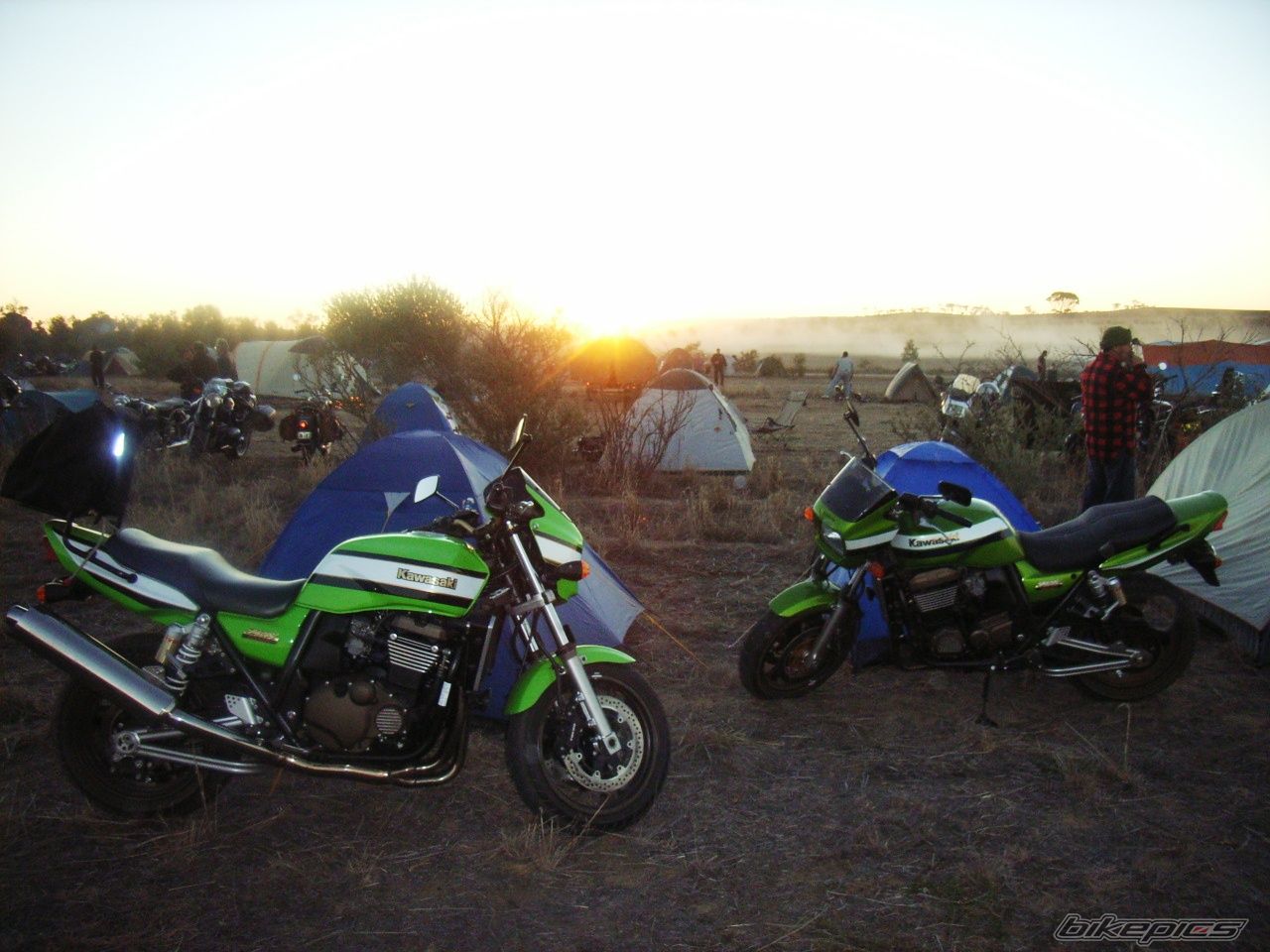 Photo 1002977