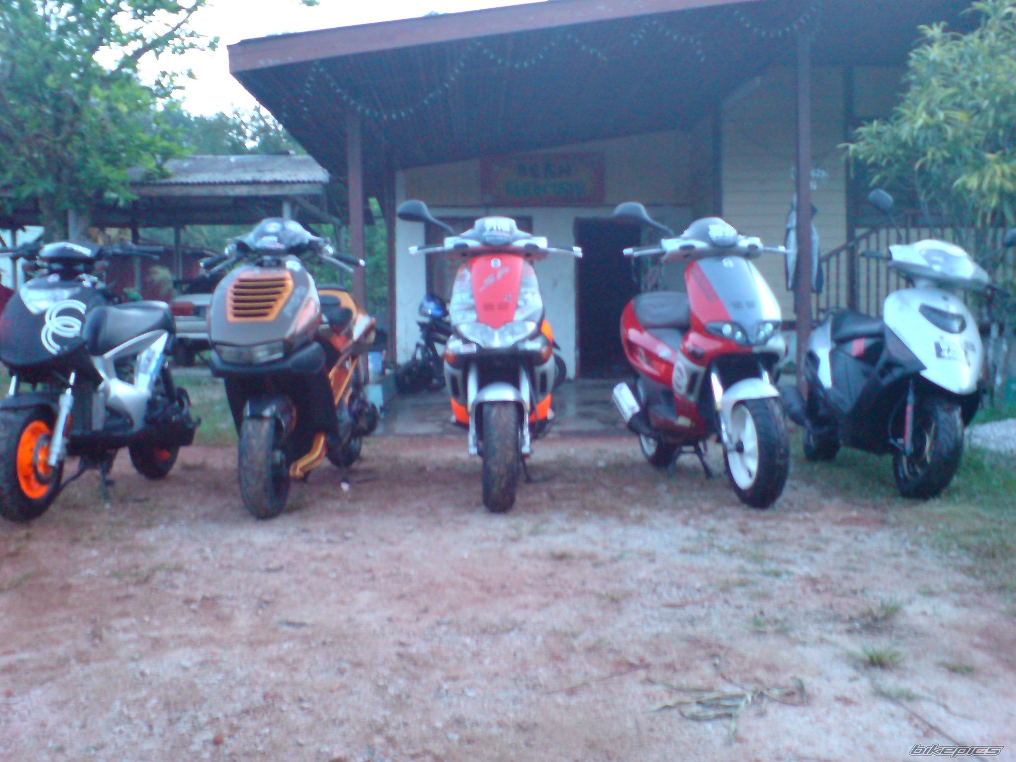 Photo 1002988