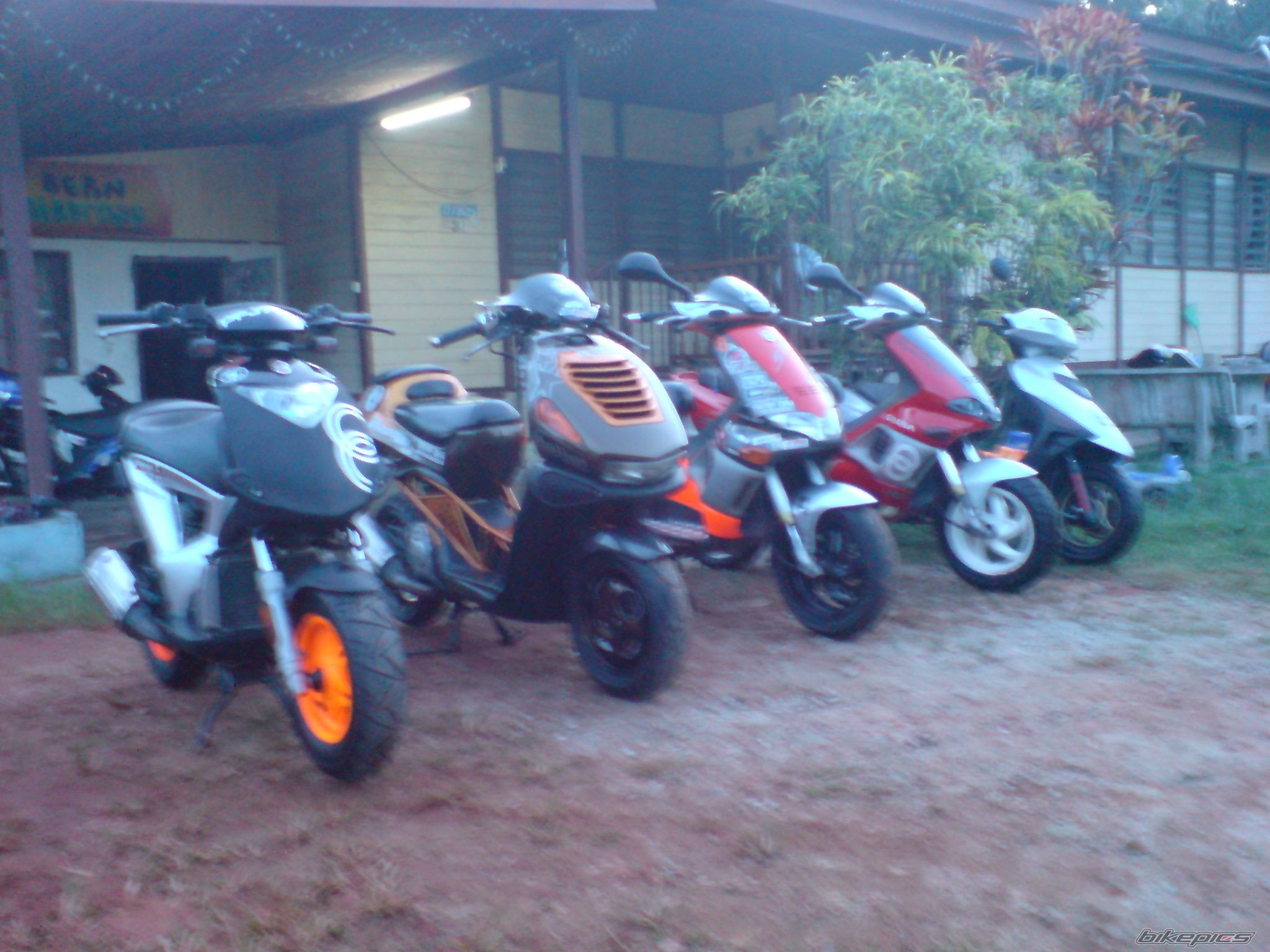 Photo 1002989