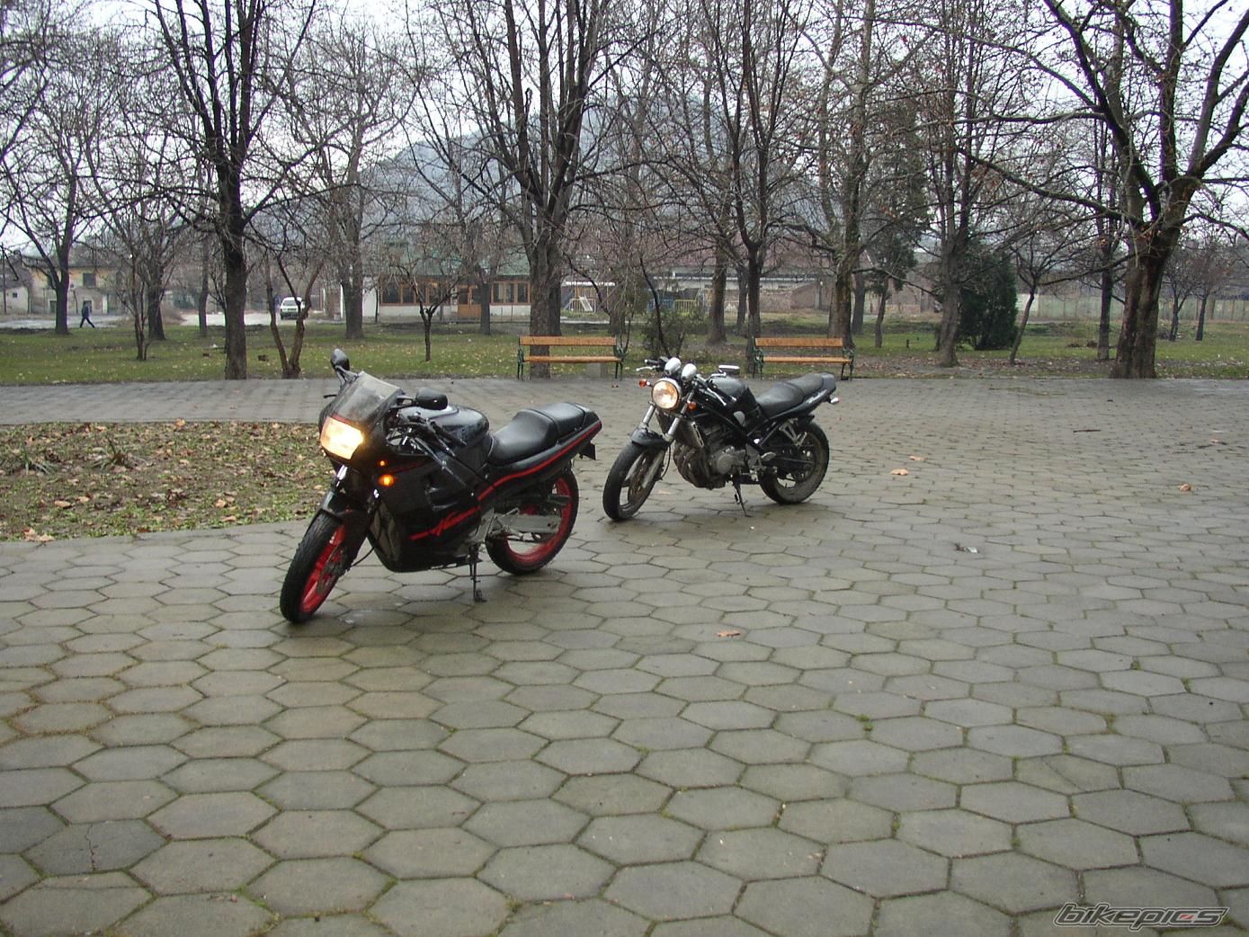 Photo 1002998