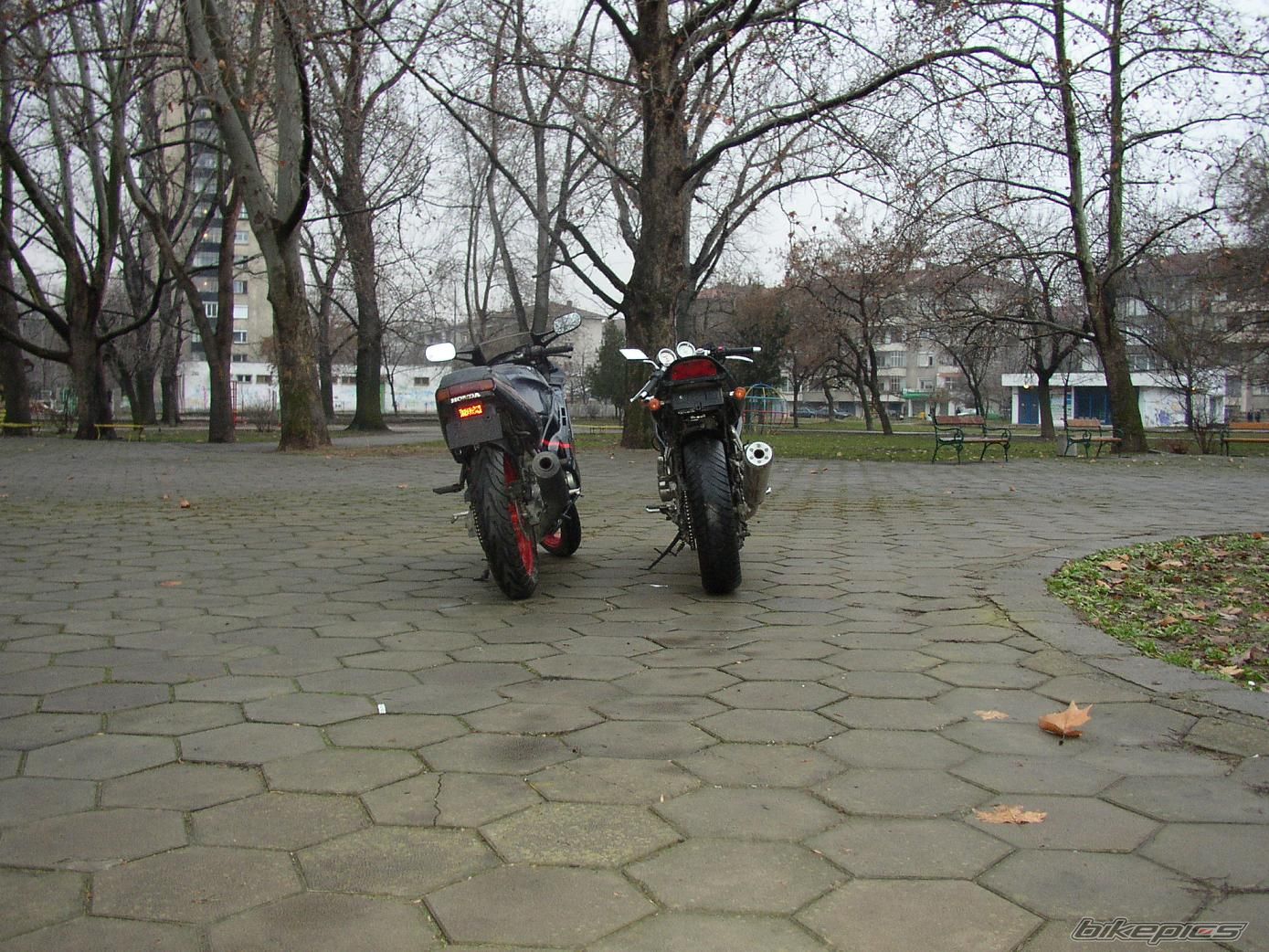 Photo 1002999
