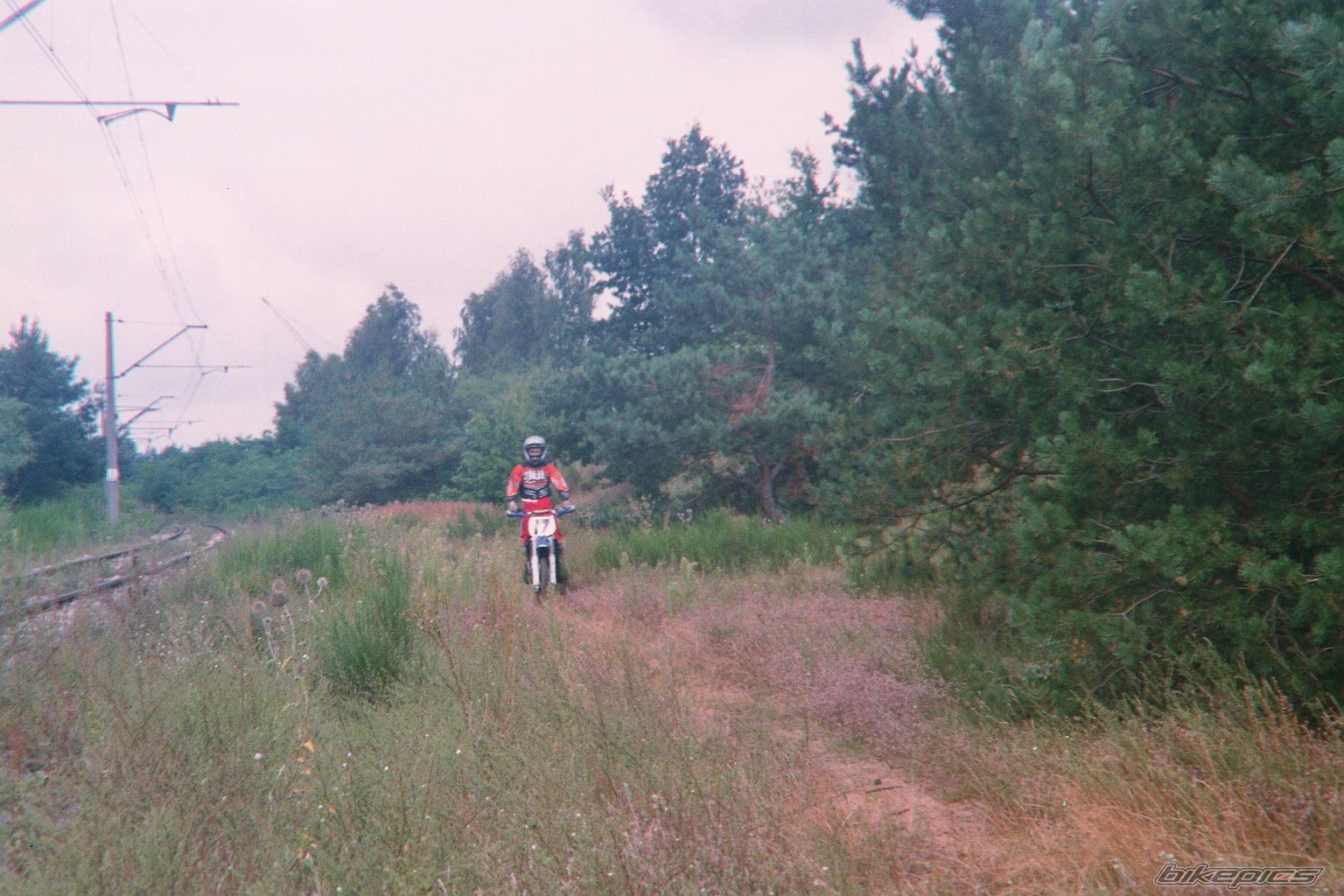 Photo 1003066