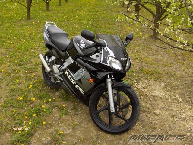 Photo 1003182
