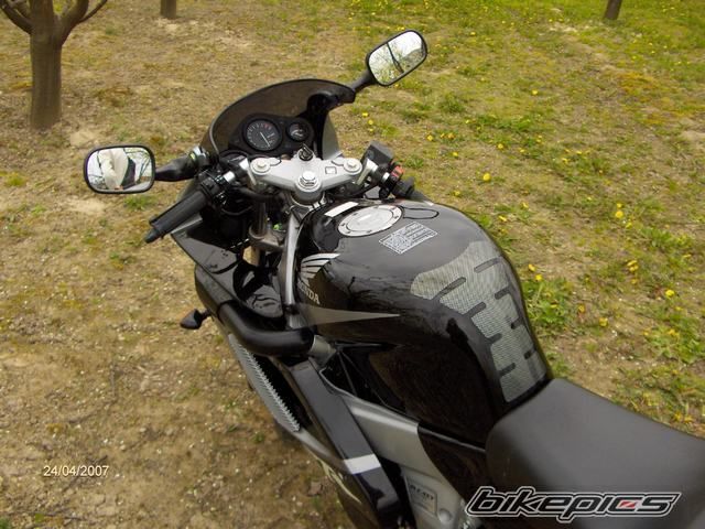 Photo 1003184