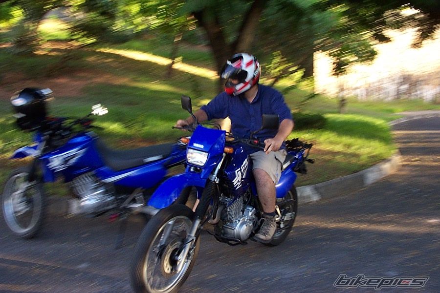 Photo 1003207