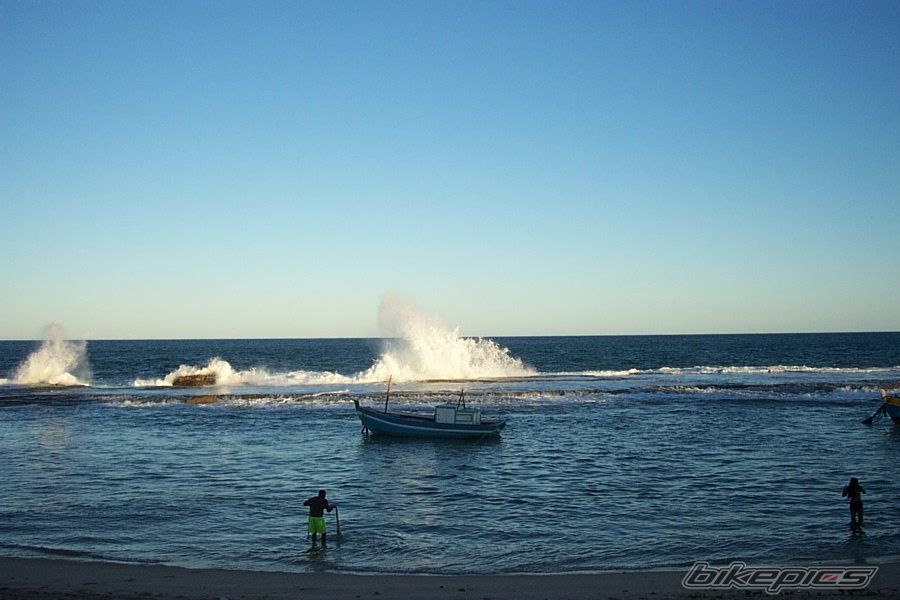 Photo 1003209