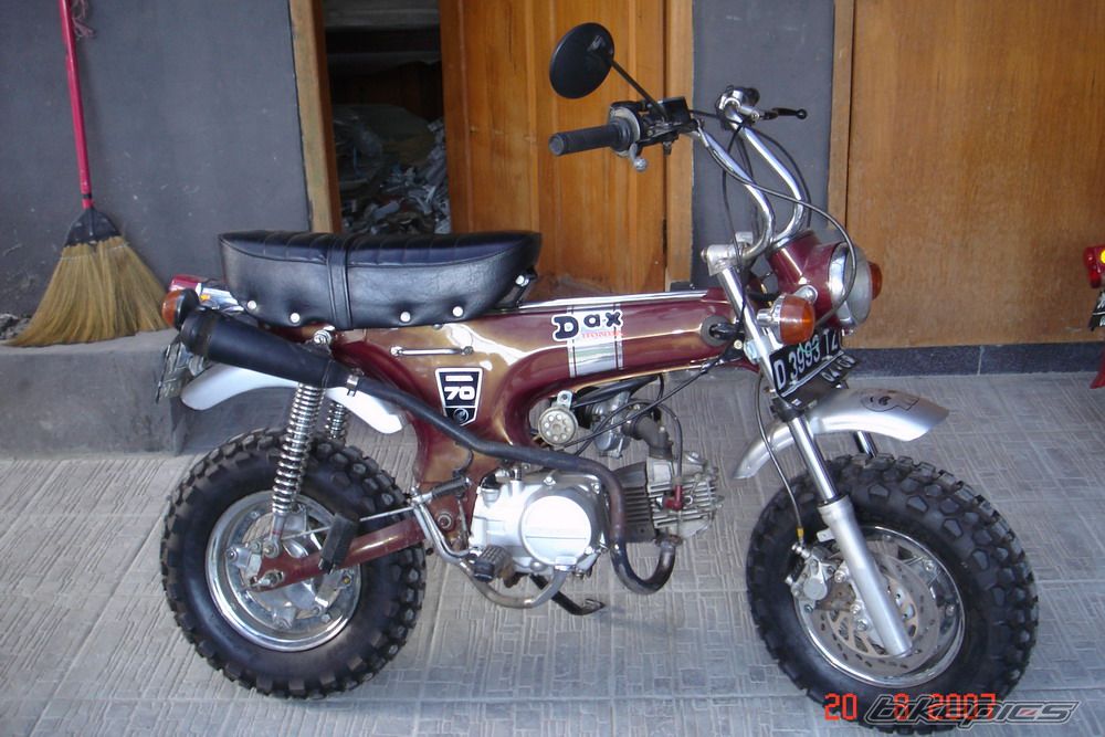 Photo 1003231