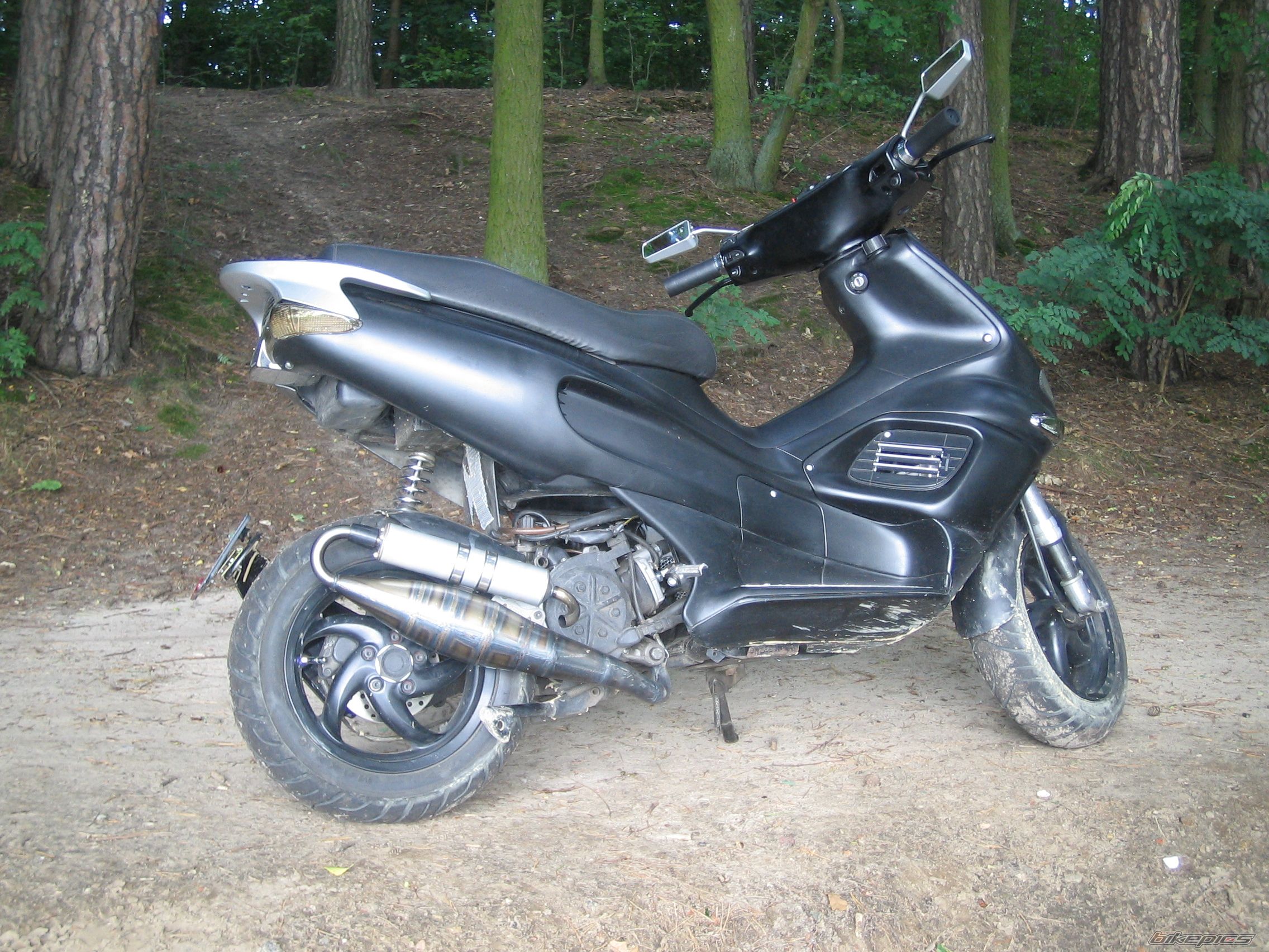 Photo 1003245