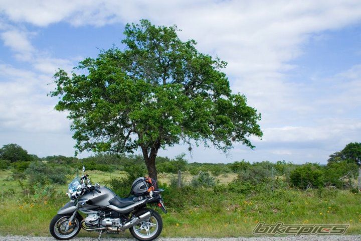 Photo 1003306