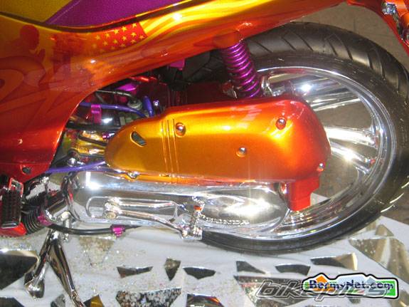 Photo 100333