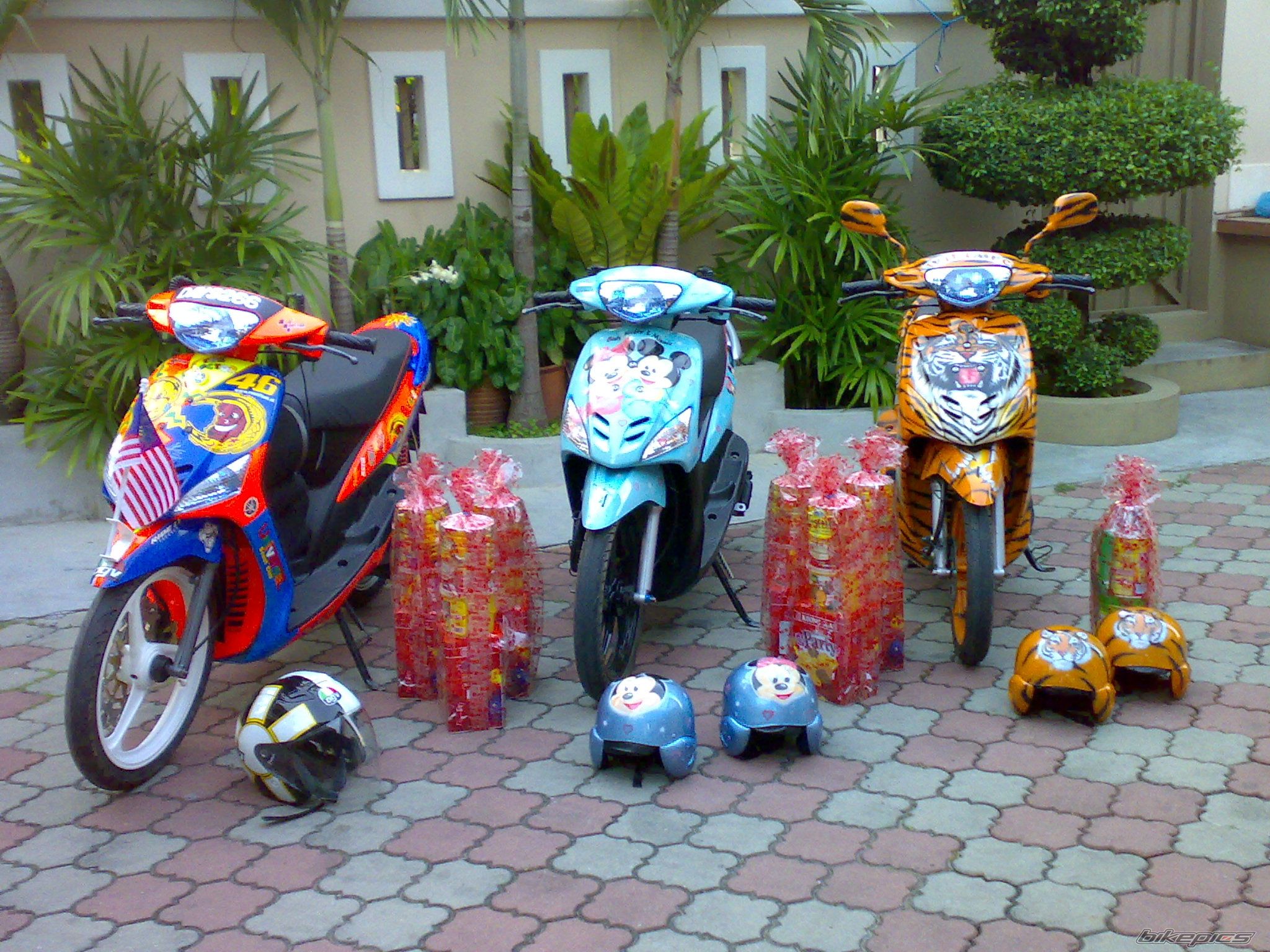 Photo 1003351