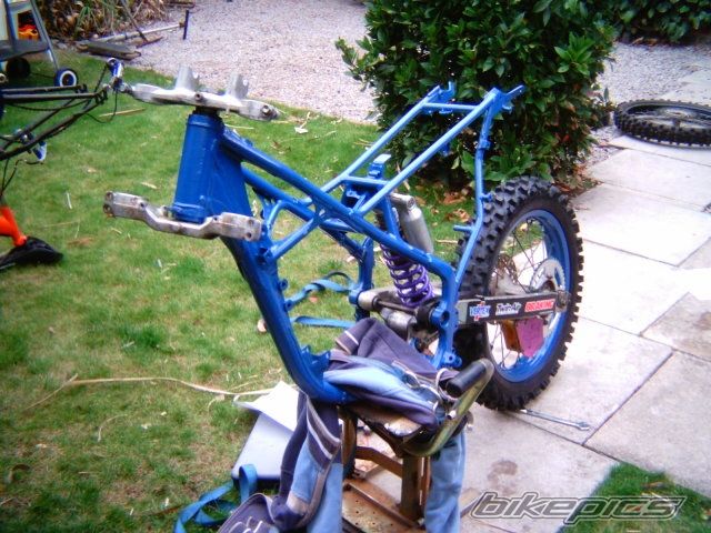 Photo 1003353