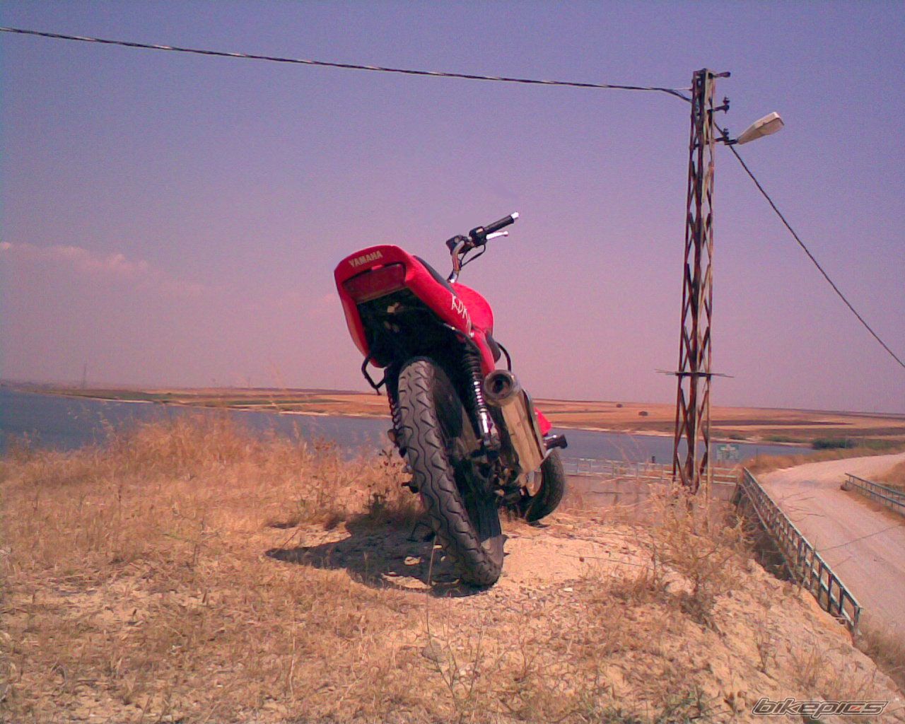 Photo 1003354