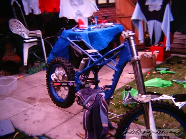 Photo 1003355