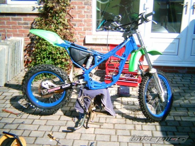 Photo 1003357