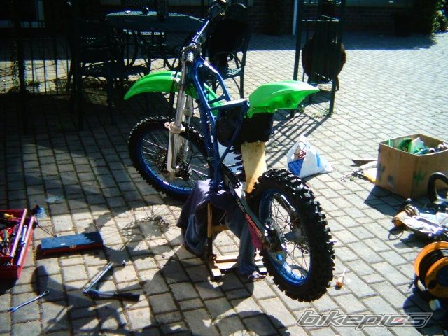 Photo 1003358