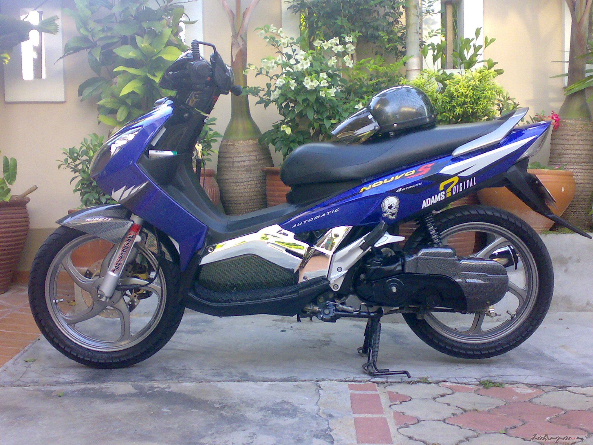 Photo 1003362
