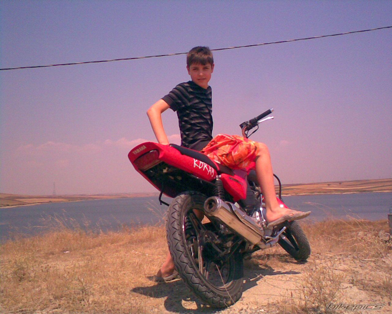 Photo 1003363