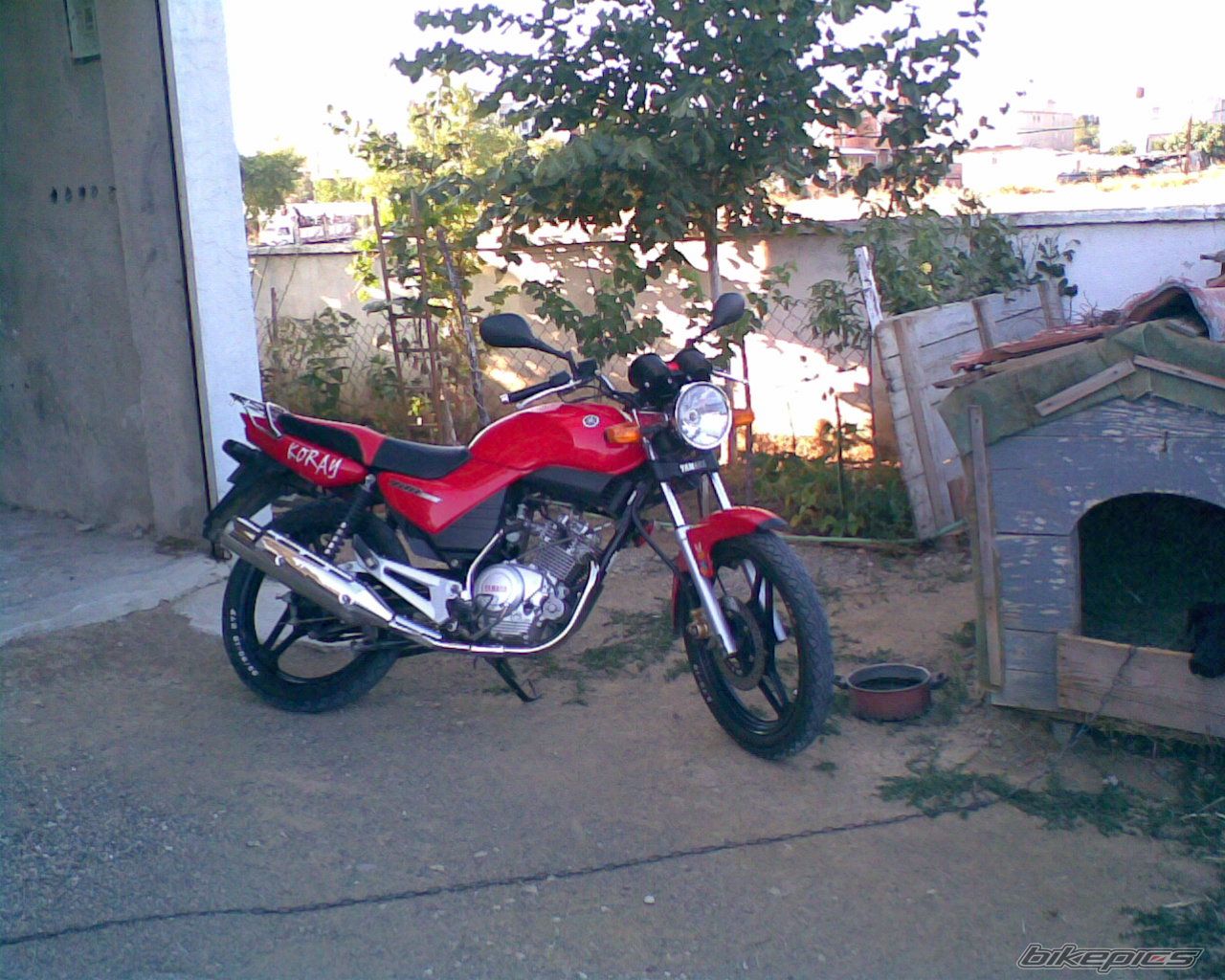 Photo 1003365