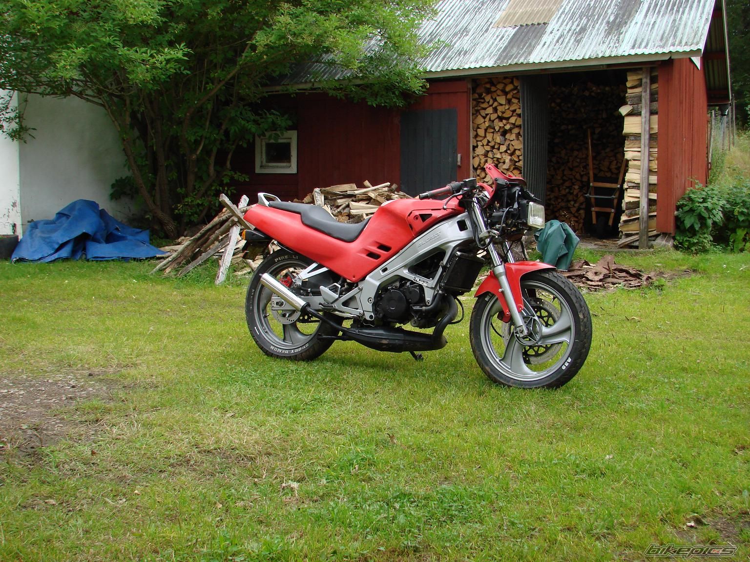 Photo 1003377