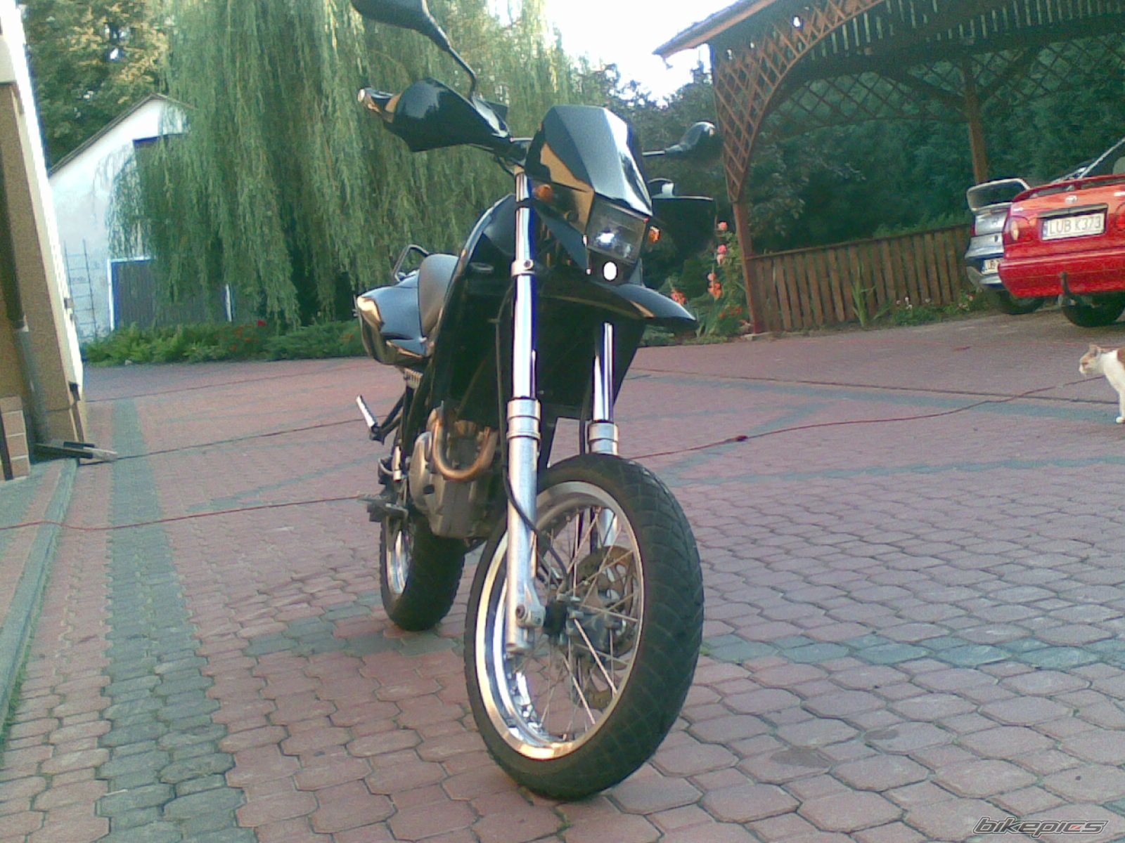 Photo 1003420