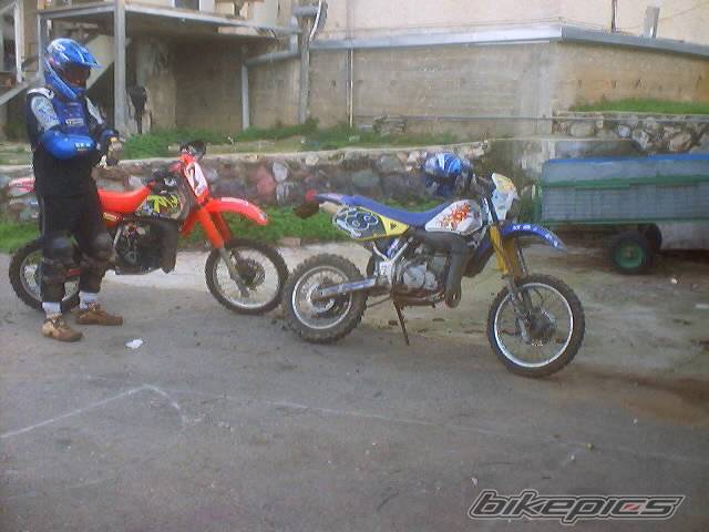Photo 100351