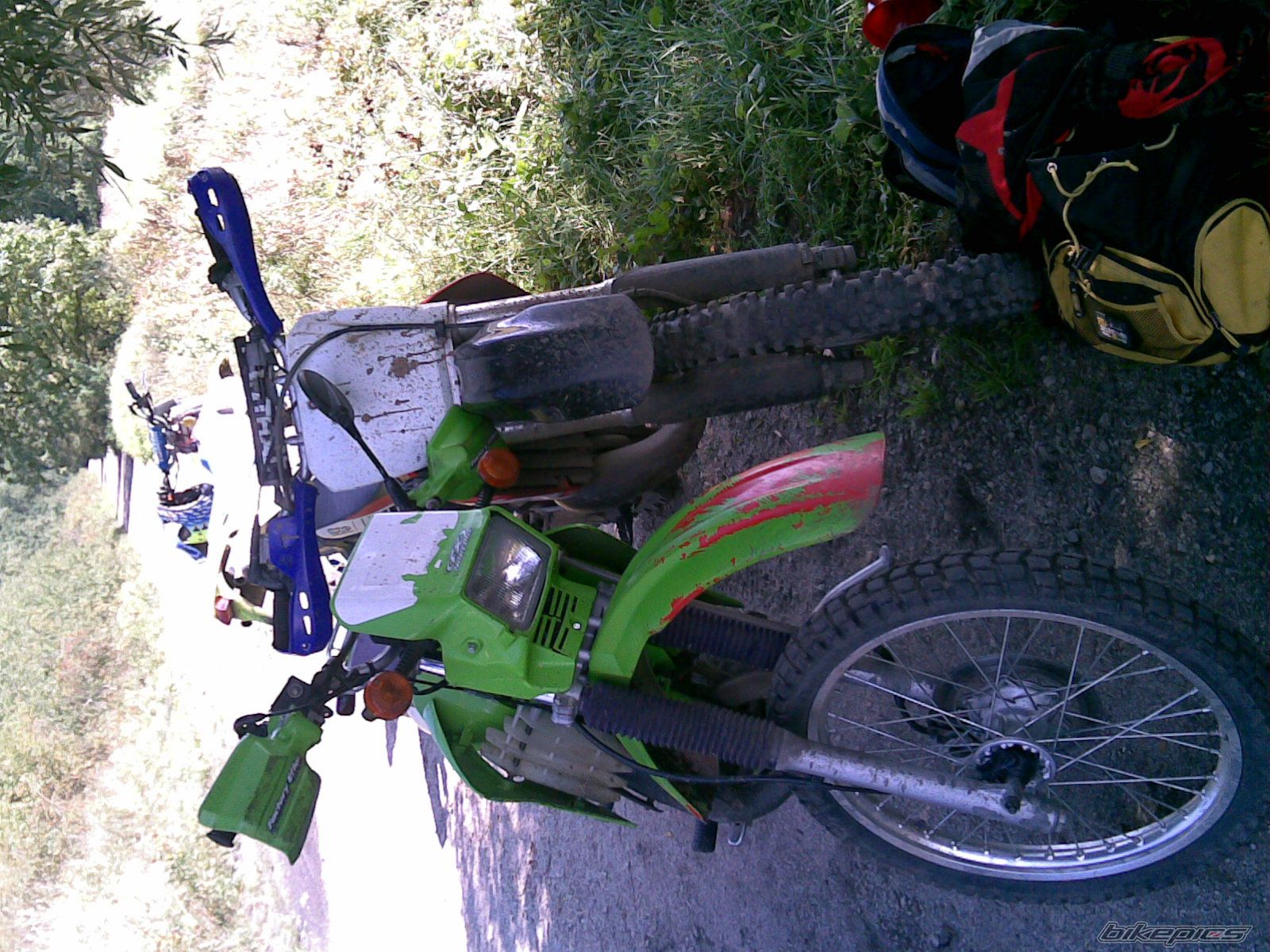Photo 1003514