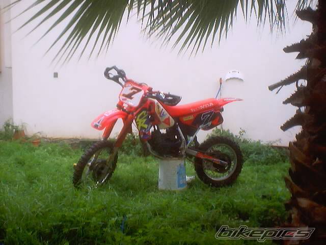 Photo 100353