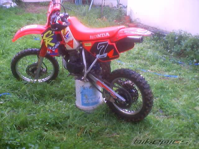 Photo 100354