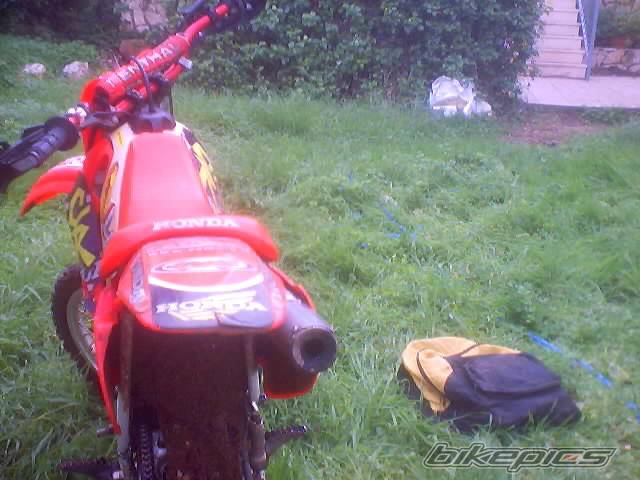 Photo 100355