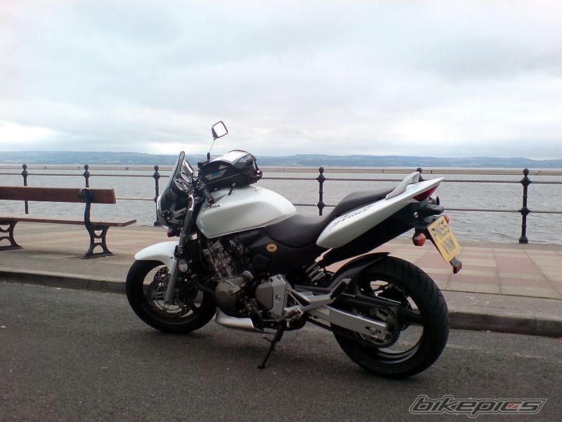 Bike Photo 1003552