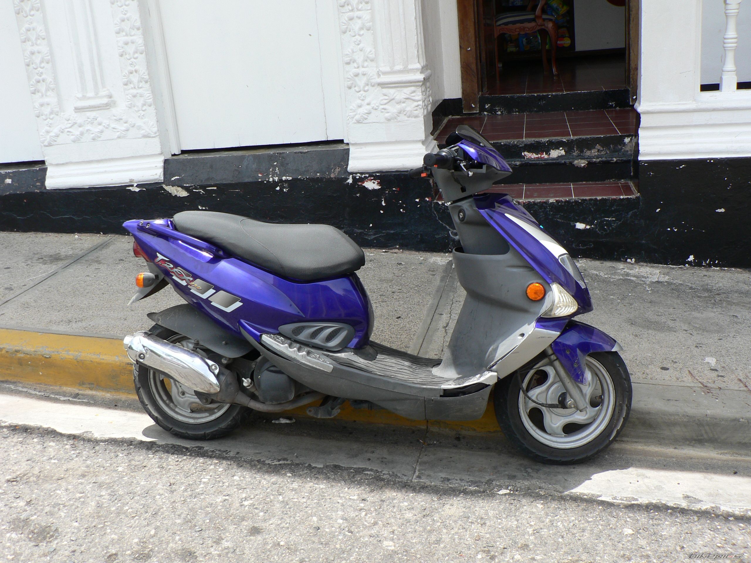 Photo 1003565