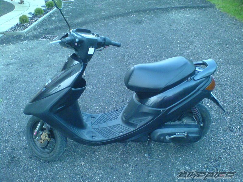 Photo 1003588